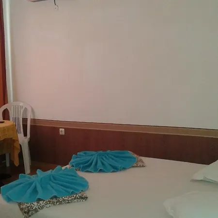 Zora 普里莫尔斯科